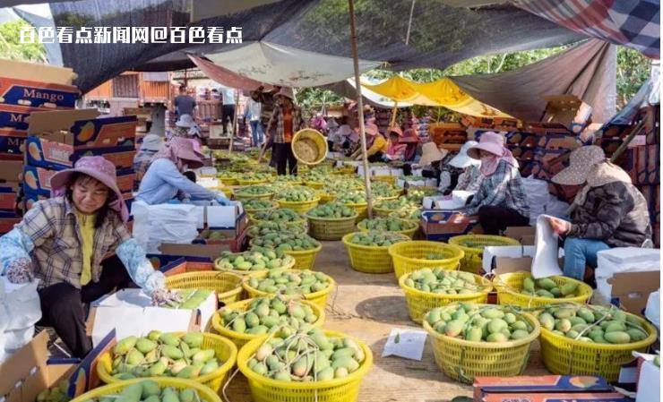 微信截图_20230615094731.jpg