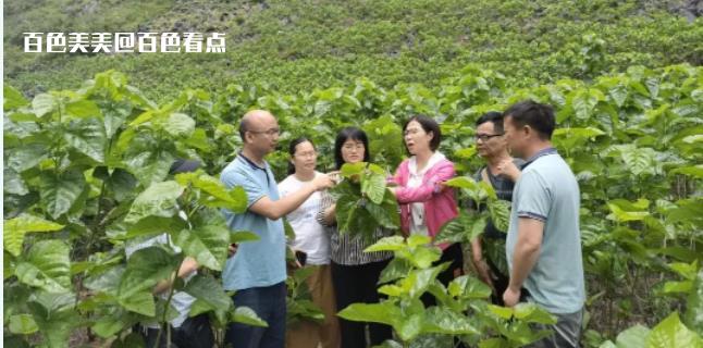 微信截图_20230617144101.jpg