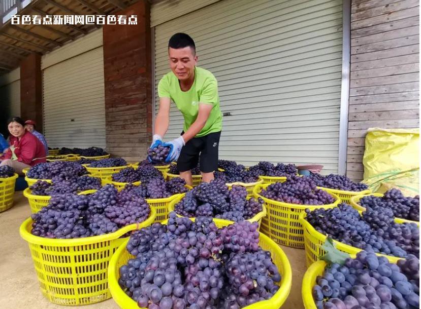 微信截图_20230619175812.jpg