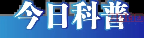 641.webp.jpg