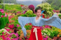 宛如置身童话世界！百色这里浪漫满屏