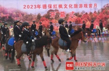打卡好去处！德保枫叶红了，最佳观赏期是……