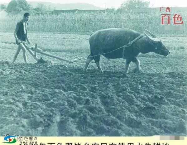微信图片_20190213154216.jpg