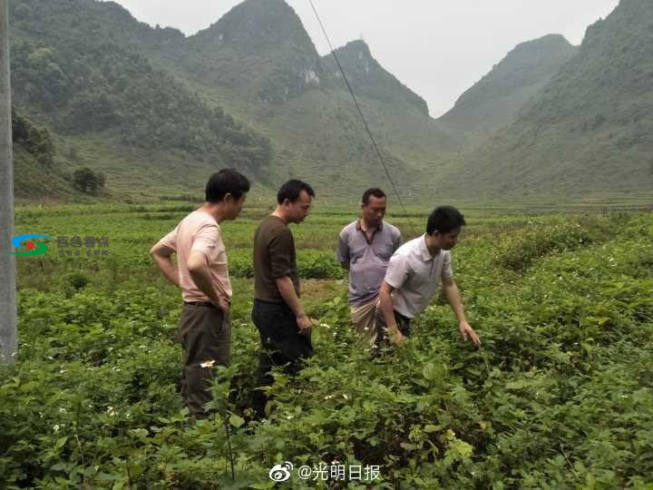 d3b82827e8484aec9d02de27120b6495~noop_720x540.jpg