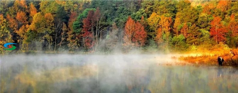 640.webp (9).jpg