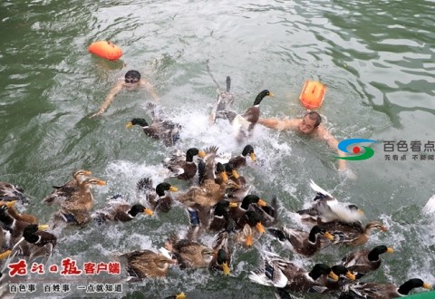 se3c--b3-c3a-0148dc62-a1c266cdb4bbd54e.jpg