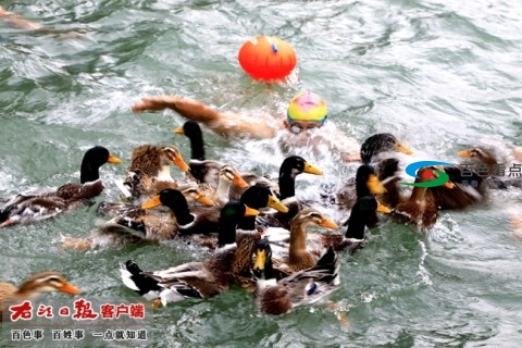 s2744c08--487efebaa4be98-0--940dd8a4ee.jpg