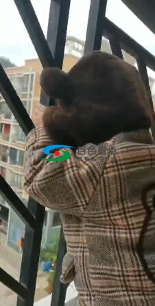 QQ截图20200304204506.jpg