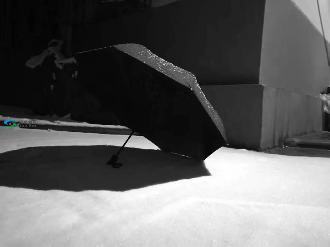 640.webp (14).jpg