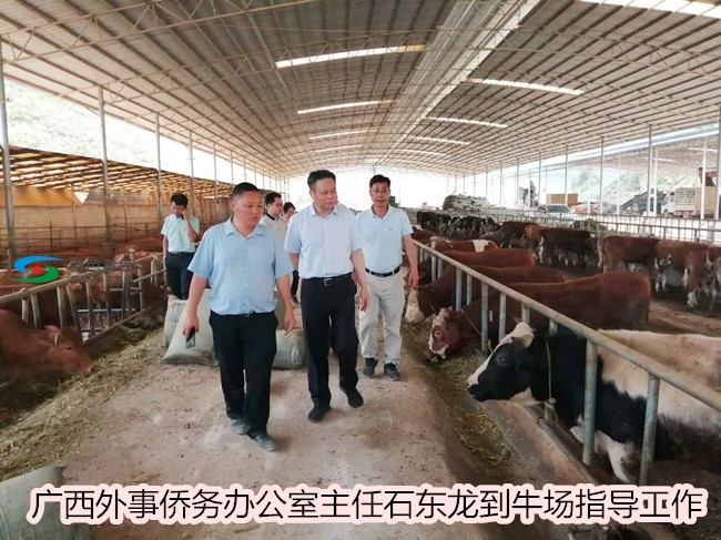 平果出了个硬核新愚公方琳：三年凿岩开山，建起万头猪场 平果,了个,硬核,愚公,公方