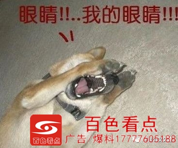 微信图片_20200827094804.jpg