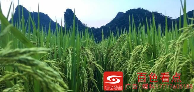 QQ截图20200902234141.jpg