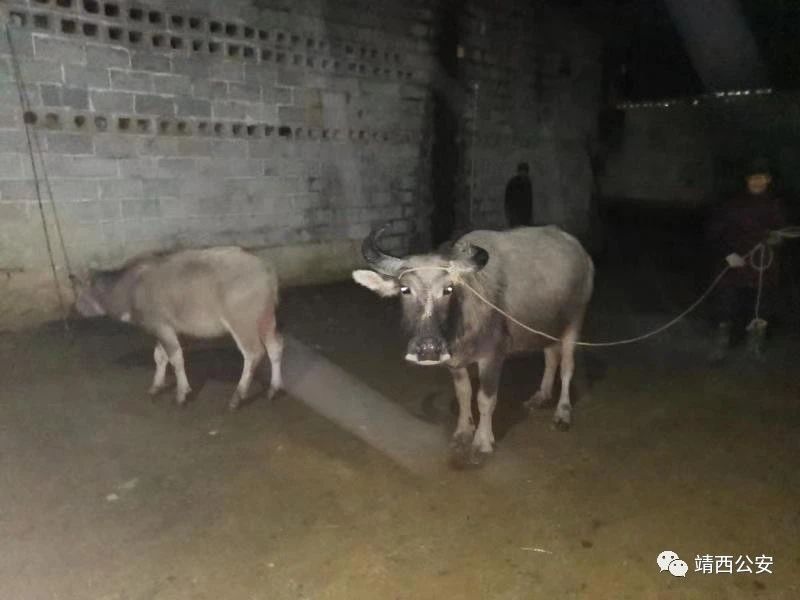 微信图片_20201117093525.jpg