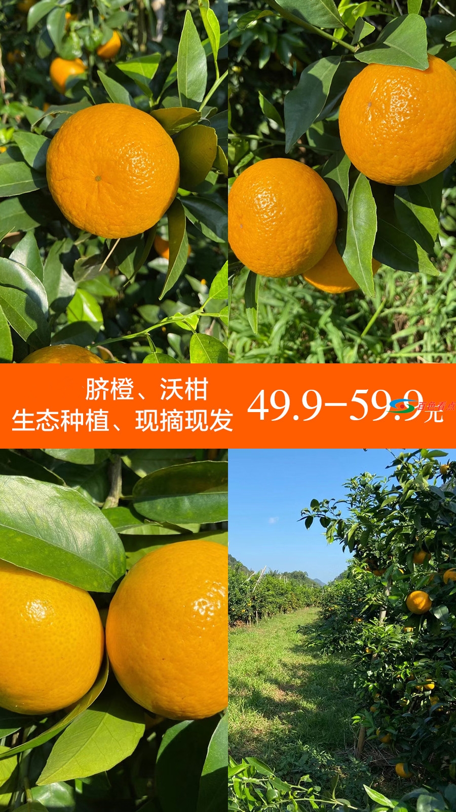 微信图片_20201210173534_副本.jpg