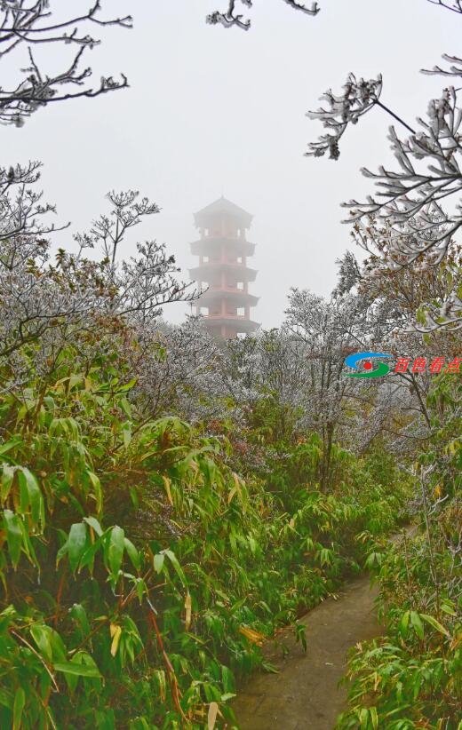QQ截图20201220201141.jpg