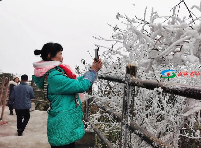 QQ截图20201220201252.jpg