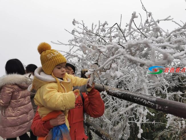QQ截图20201220201318.jpg