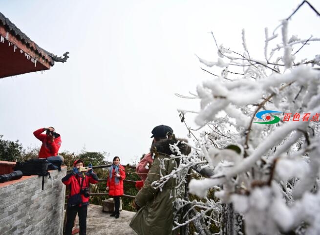 QQ截图20201220201404.jpg