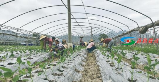 QQ截图20210318090514.jpg