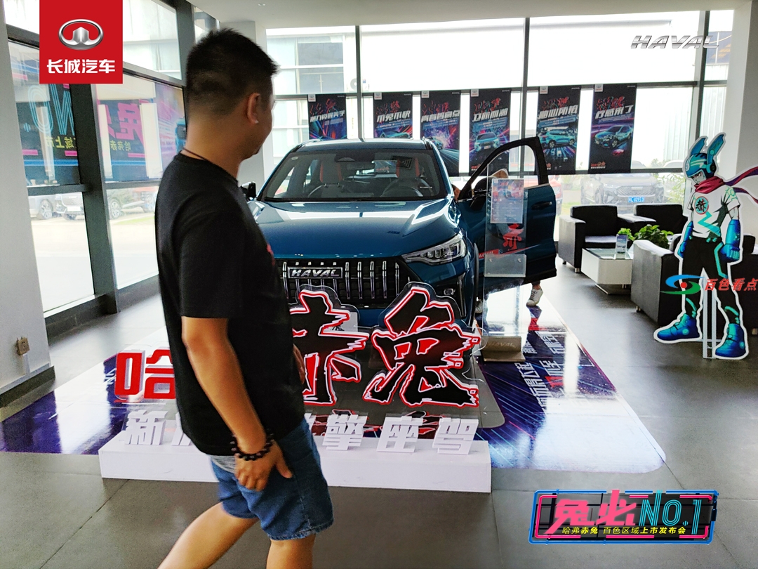 15-看车-(2).jpg