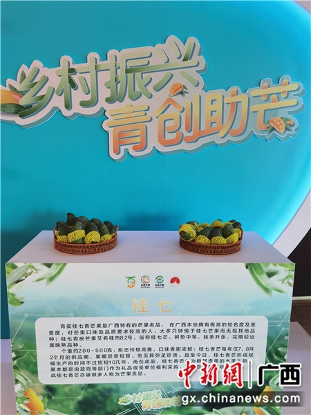 i6lY-ufcisay0232807.jpg