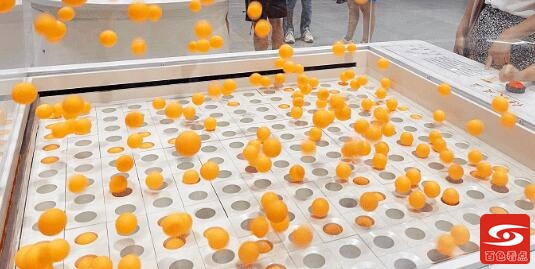 QQ截图20210929140136.jpg