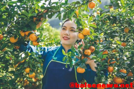 田东：  “一轴两翼”擘画乡村振兴美好蓝图 田东,一轴两翼,两翼,擘画,画乡
