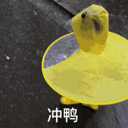 12.gif