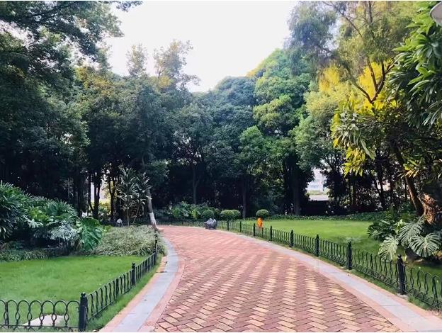 清凉一“夏”！百色市区避暑好去处 清凉,百色,百色市,市区,避暑