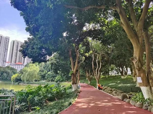 清凉一“夏”！百色市区避暑好去处 清凉,百色,百色市,市区,避暑