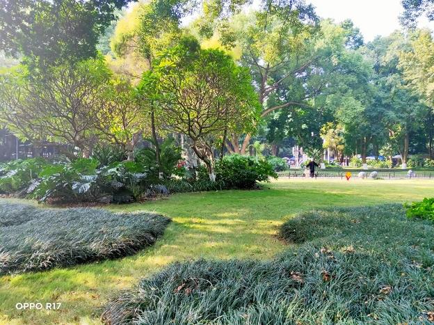 清凉一“夏”！百色市区避暑好去处 清凉,百色,百色市,市区,避暑