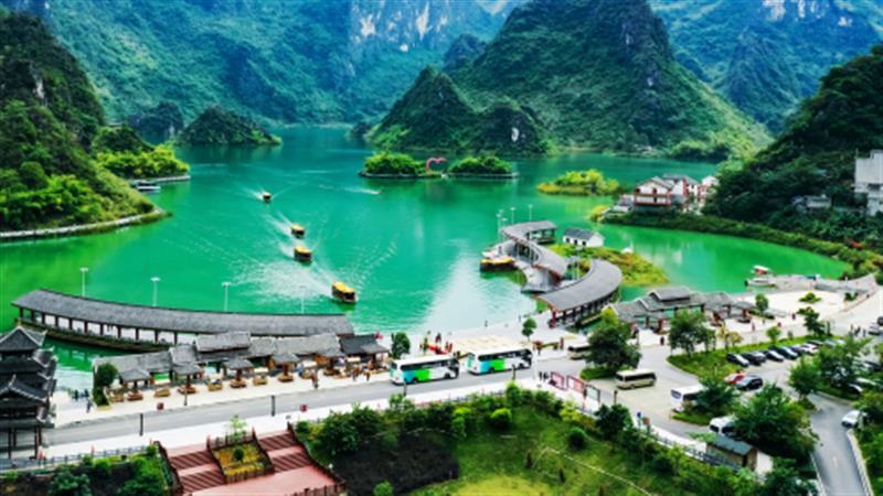 百色凌云：乡村振兴巧打“绿色牌”大石山区绽放幸福花 百色,凌云,乡村,振兴,绿色