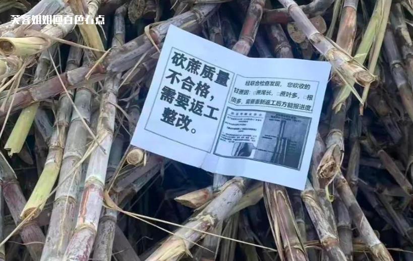 微信截图_20221130140730.jpg