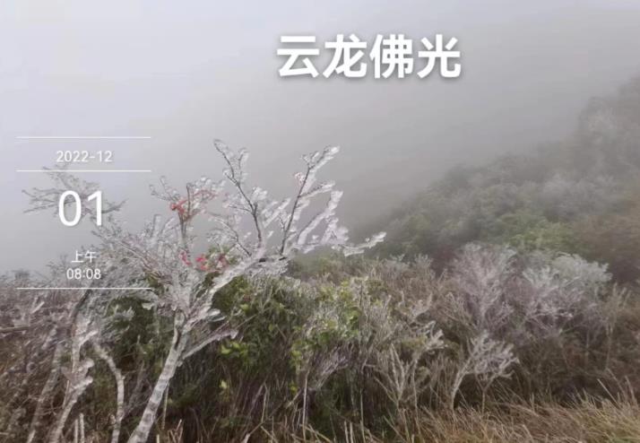 微信截图_20221201163840.jpg