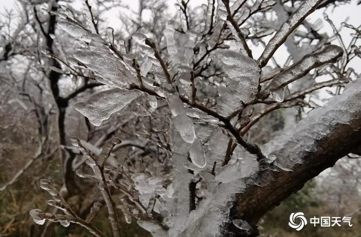微信截图_20221201163848.jpg