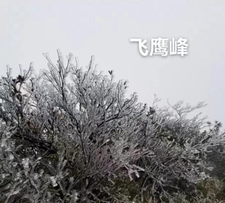 微信截图_20221201163832.jpg