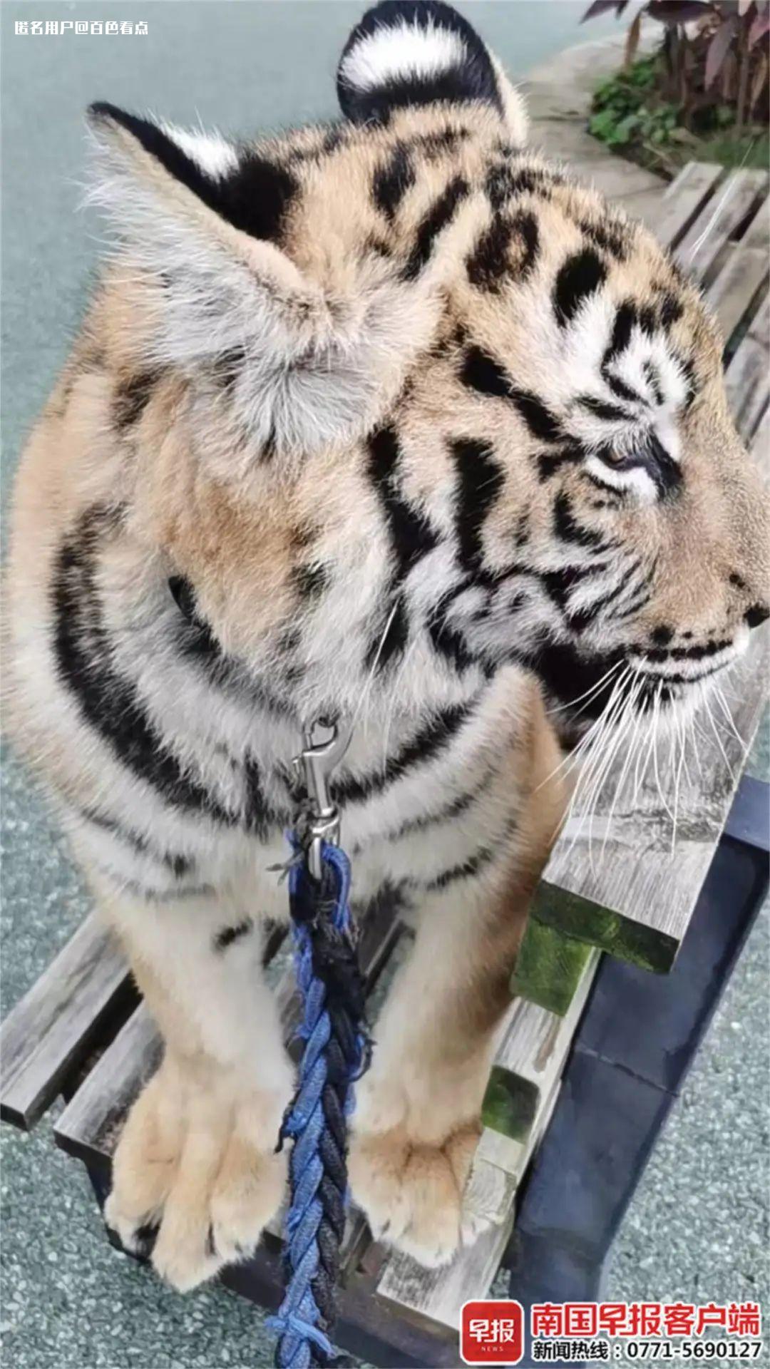 微信图片_20230210094826.jpg