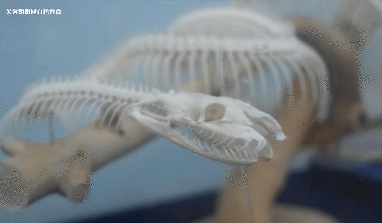 微信图片_20230301101054.jpg