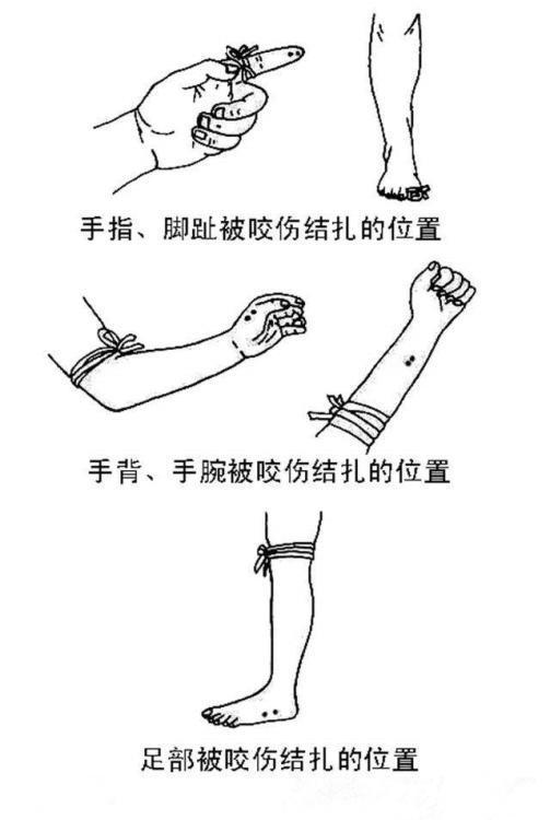 微信图片_20230301101110.jpg