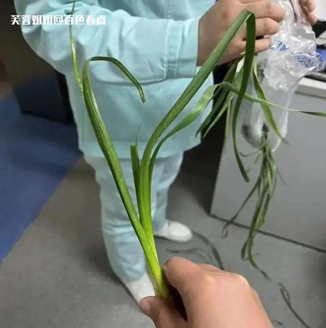 微信图片_20230307111024.jpg