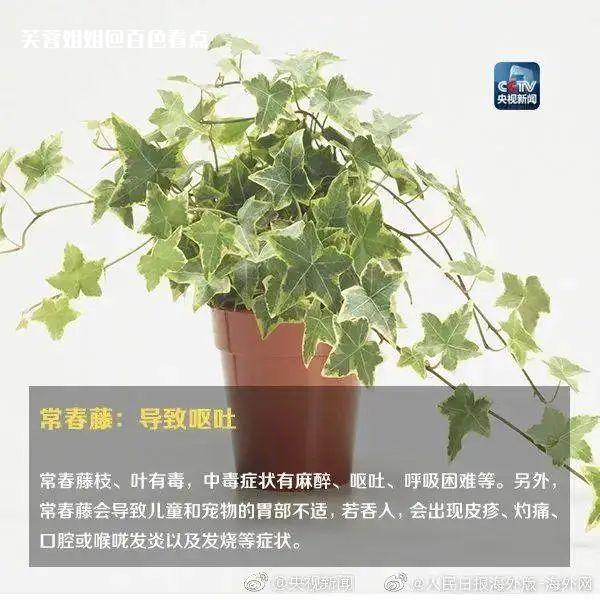 微信图片_20230307111035.jpg