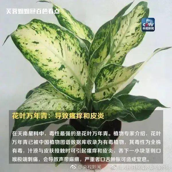 微信图片_20230307111032.jpg