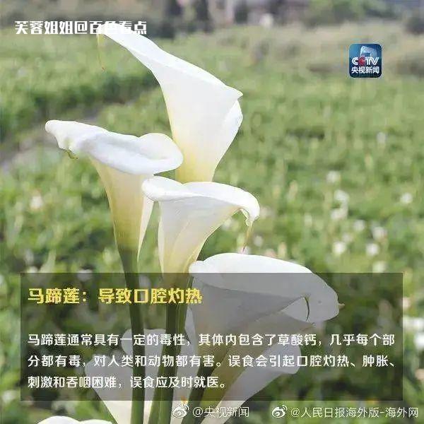微信图片_20230307111042.jpg