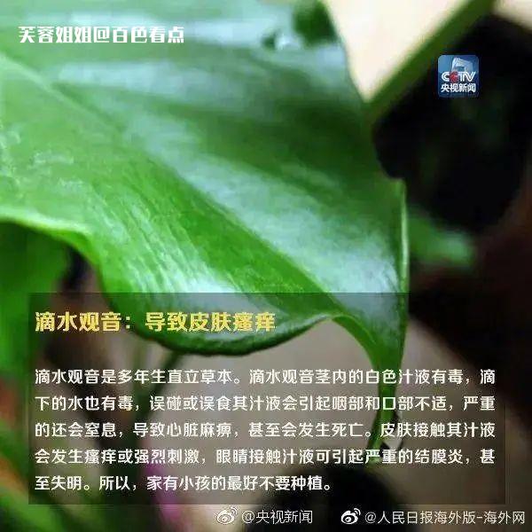 微信图片_20230307111030.jpg