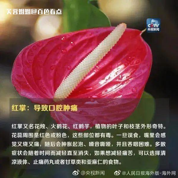 微信图片_20230307111044.jpg