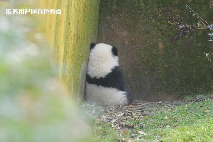 微信图片_20230322172214.jpg