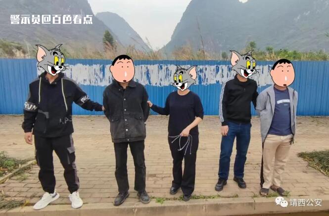靖西警方破获多起电动车连环被盗案 追回被盗车辆4辆 
