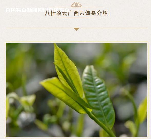 微信截图_20230330180221.jpg