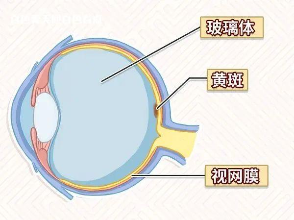 微信图片_20230407104328.jpg