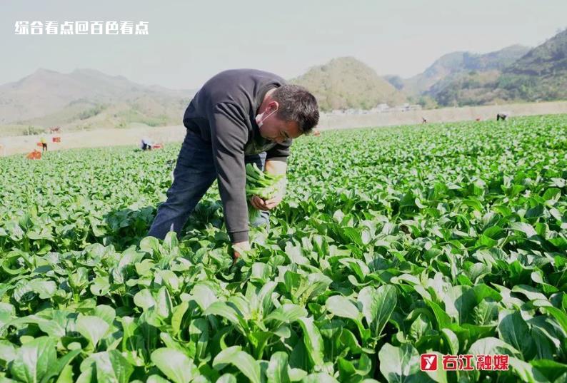 微信截图_20230408155152.jpg